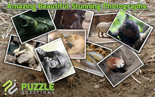 Zoo Puzzles Screenshots 5