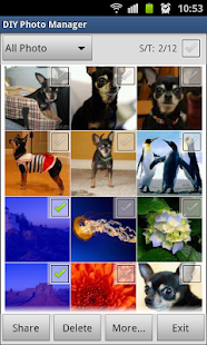 How to mod DIY Photo Manager Pro lastet apk for android