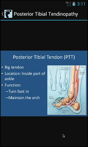 【免費健康App】Heel Thy Tendon-APP點子