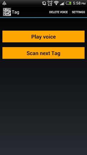 Voice Tags