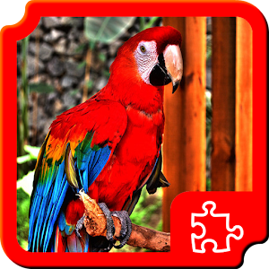 Birds Puzzles.apk 1.4.0