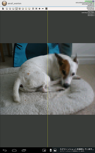 Wonton - Image Comparison