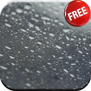 Rain Live Wallpaper.apk 3.0