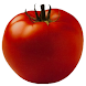 My Shopping List icon