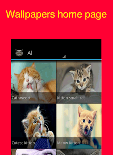 How to download Kitten Wallpapers 1.0.1 apk for pc