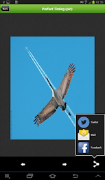 Funny Pics&Videos poster 5