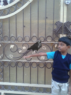 How to mod Birds Camera FullVersion_V9 mod apk for android