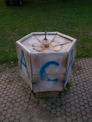 A.C.A.B. Brunnen