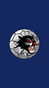 Download Woongarrah Wildcats FC APK
