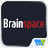 Brainspace7.2.2