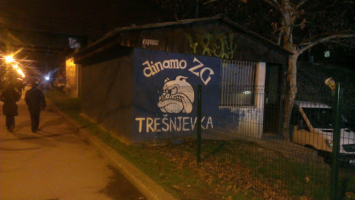 Dinamo Tribute