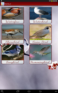 Birds Calls Sounds Screenshots 1