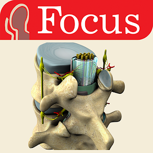 BACK AND SPINAL CORD - ATLAS 1.0