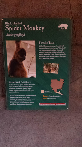 Chattanooga Zoo Spider Monkey Exhibit