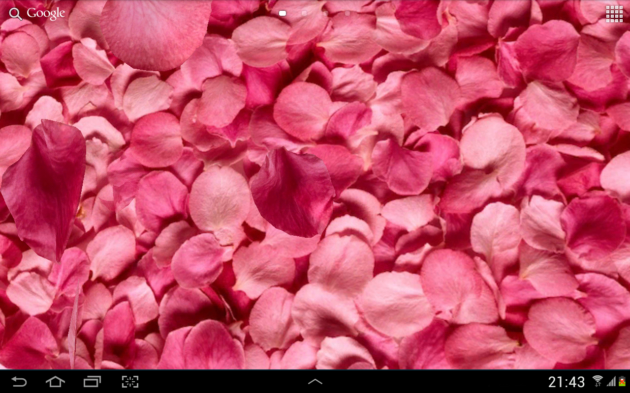 Daun Bunga 3D Live Wallpaper Google Play Store Revenue Daun Bunga 3D Live Wallpaper Google Play Store Revenue