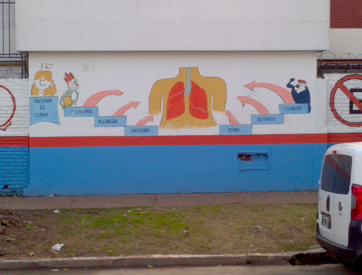 Mural De Los Pulmones