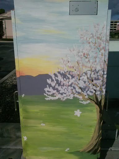 Cherry Blossom Box Mural