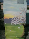 Cherry Blossom Box Mural