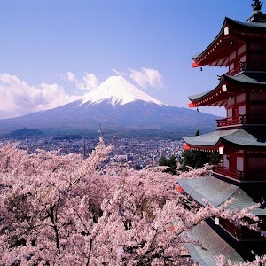 Japanese cherry Wallpapers HD.apk 3.0.0