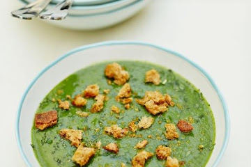 Garden glut soup
