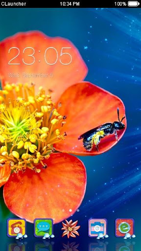 Gorgeous Flower Theme