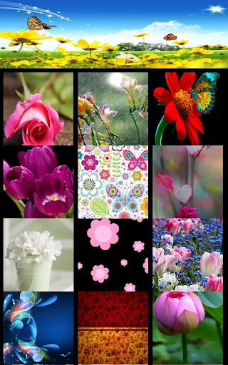 Flower Wallpapers