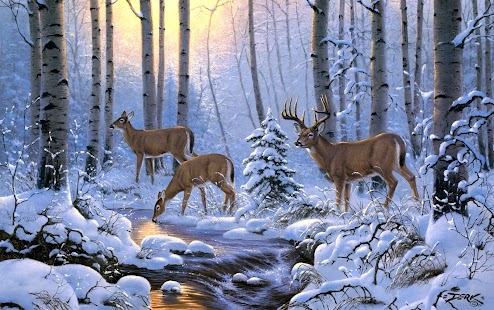 Free Download Deer Wallpaper APK