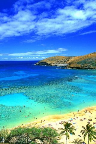 最高のハワイ Iphone 壁紙 海 すべての美しい花の画像