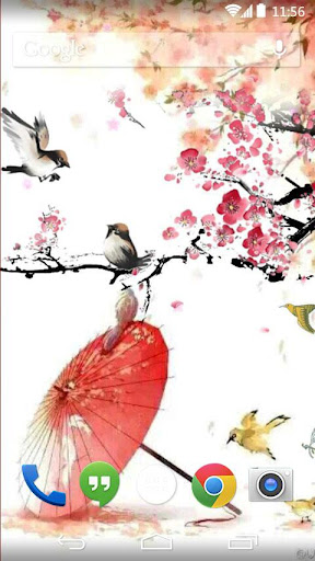lovely bird live wallpaper