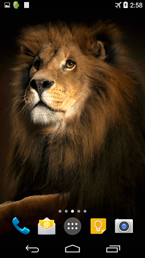 【免費個人化App】Lion 3D Live Wallpaper-APP點子