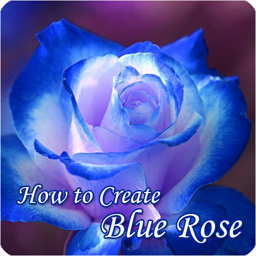 How to Create Blue Rose 程式庫與試用程式 App LOGO-APP開箱王
