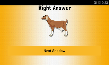 Match The Shadow poster 3