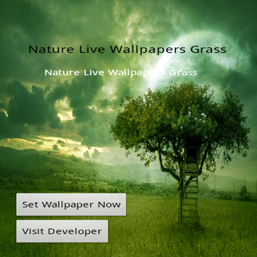 Nature Live Wallpapers Grass