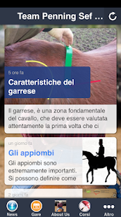 Lastest Team Penning APK