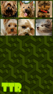 Free Yorkshire Terrier Slide Puzzle APK for Android