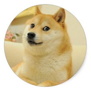 Doge Value Checker