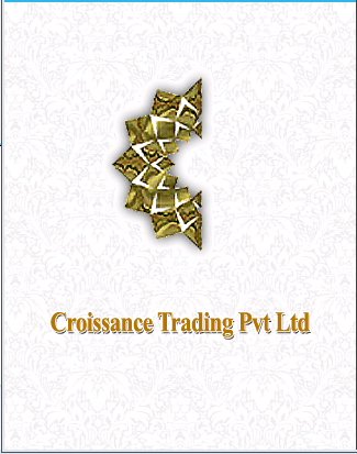 CTPL Bullion