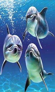 Under Sea Wallpaper Screenshots 3