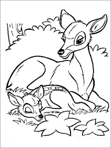 Baby Deer Coloring Book
