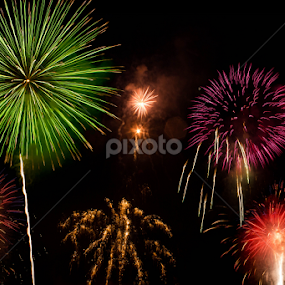 To the Delight of Young and Old by Alan Rossnagel - Public Holidays July 4th