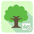 ASUS DayScene - Live wallpaper1.1.0.171206