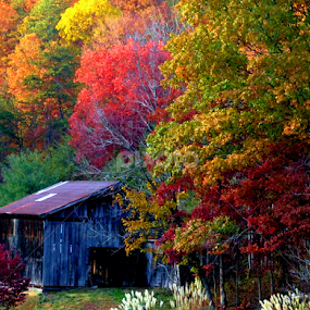 The Barn by Paul Mays - Landscapes Mountains & Hills