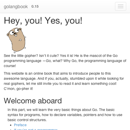 golang book