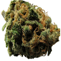 Fortune Ganja logo