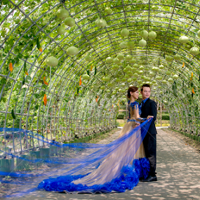 spread circle by Johann Nicholas - Wedding Bride & Groom