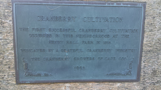 Cranberry Cultivation