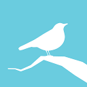 Animated Birds mobile app icon