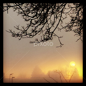 by Alannah Melton - Uncategorized All Uncategorized