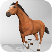 Horse Simulator 3D