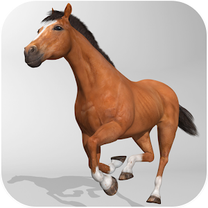 Horse Simulator 3D Hacks and cheats